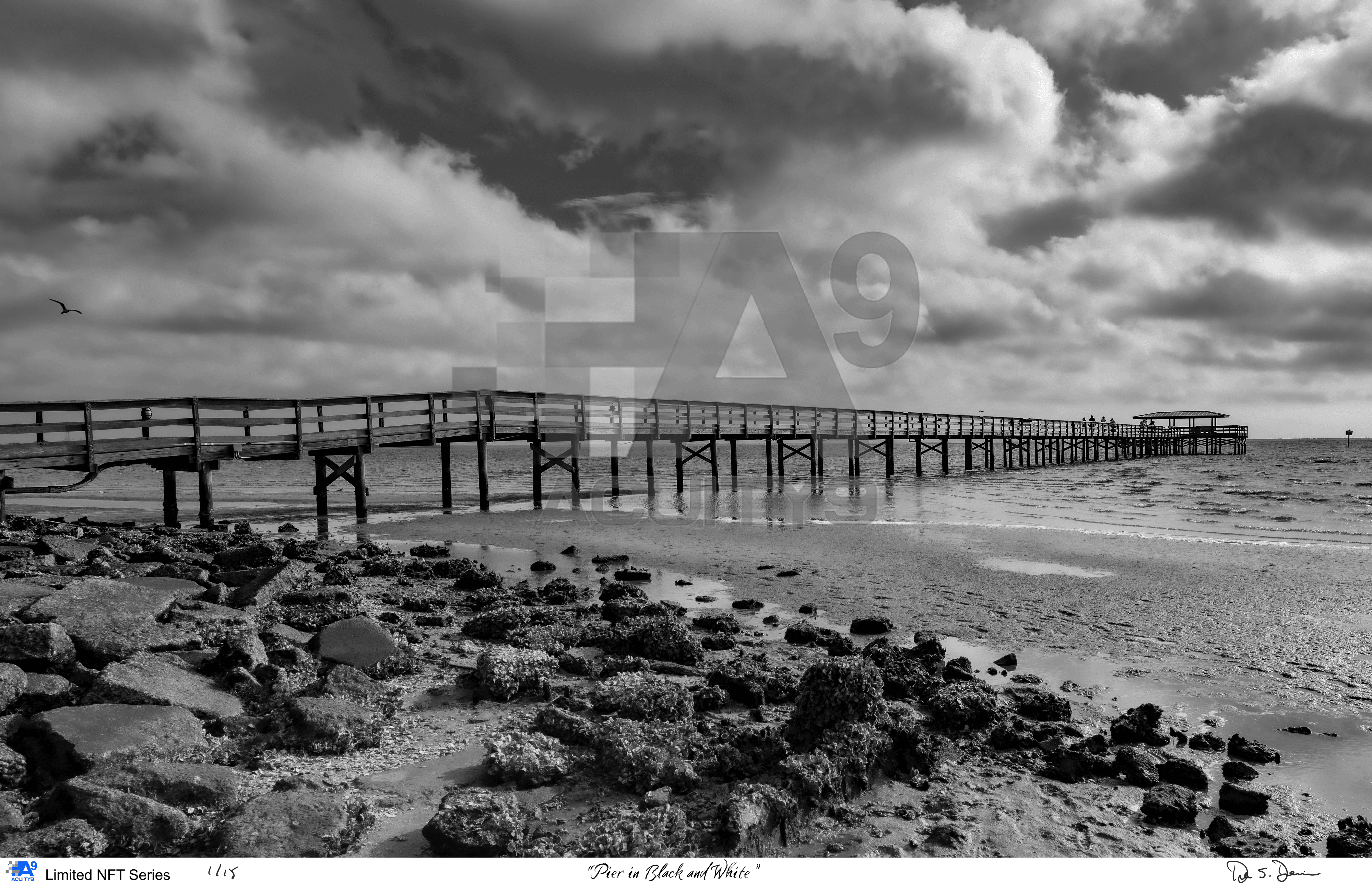 "Pier in Black and White"