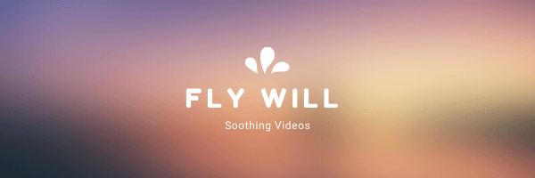 fly_will banner