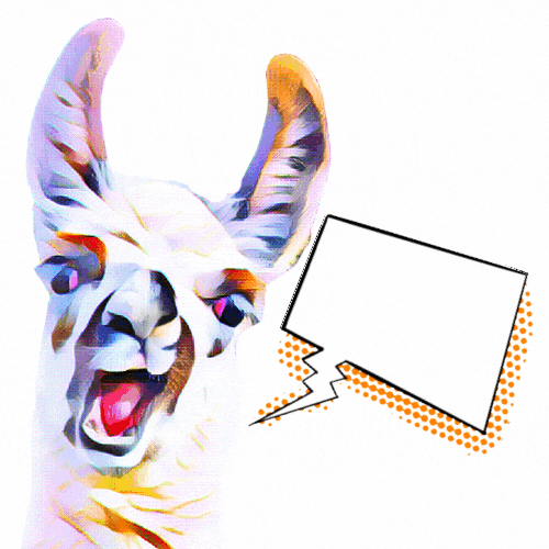 Chicho the Llama