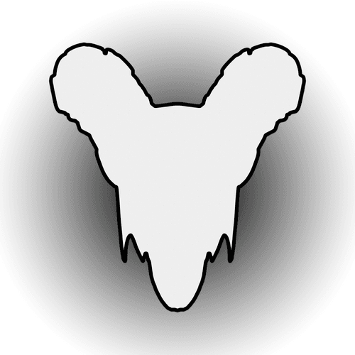 YNSS