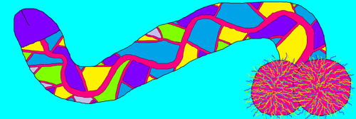 Dick #297