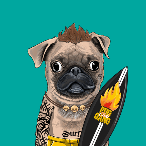 Pug #0159