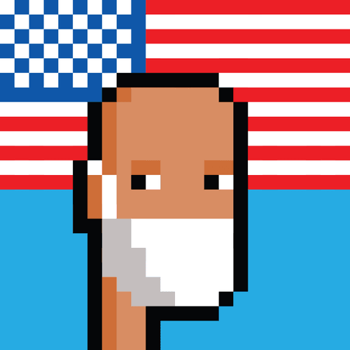 Free USA Punks #067