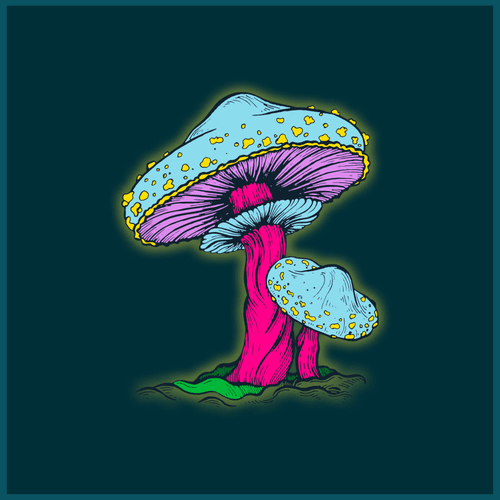 SHROOM #002