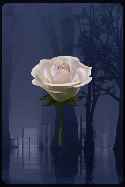Eternal Rose 1090