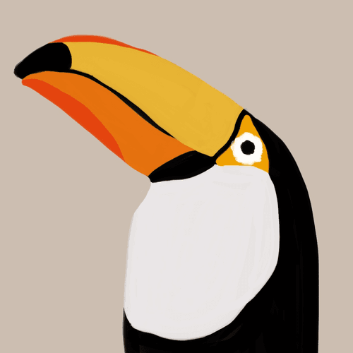 toco toucan