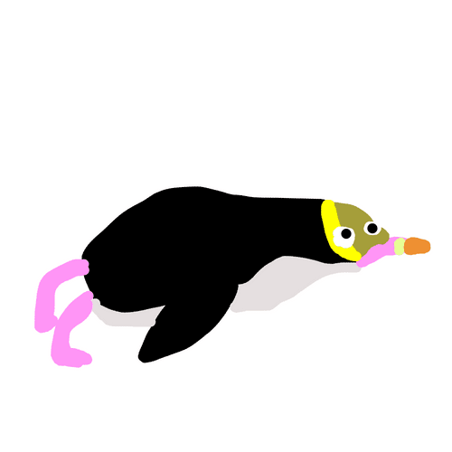 Yellow-eyed Penguin