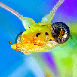 Microworld