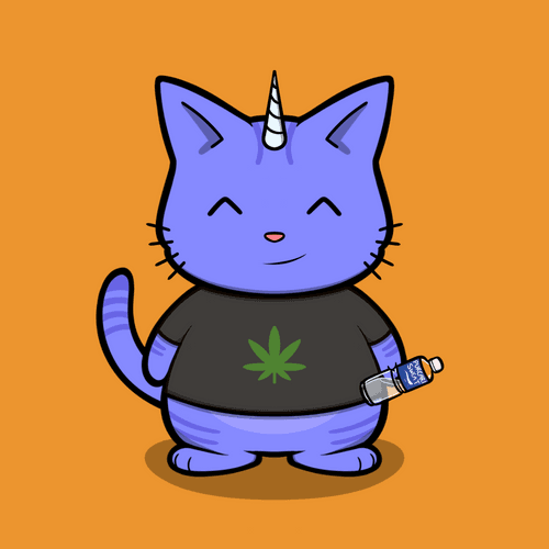 Yo Kitties #0016