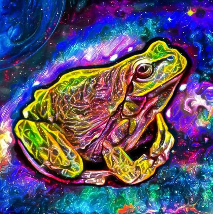 Galaxy_Frog