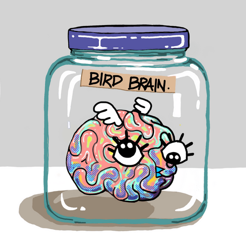 Jar air bird brain #007