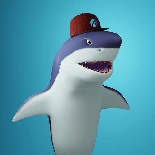 Shark #14
