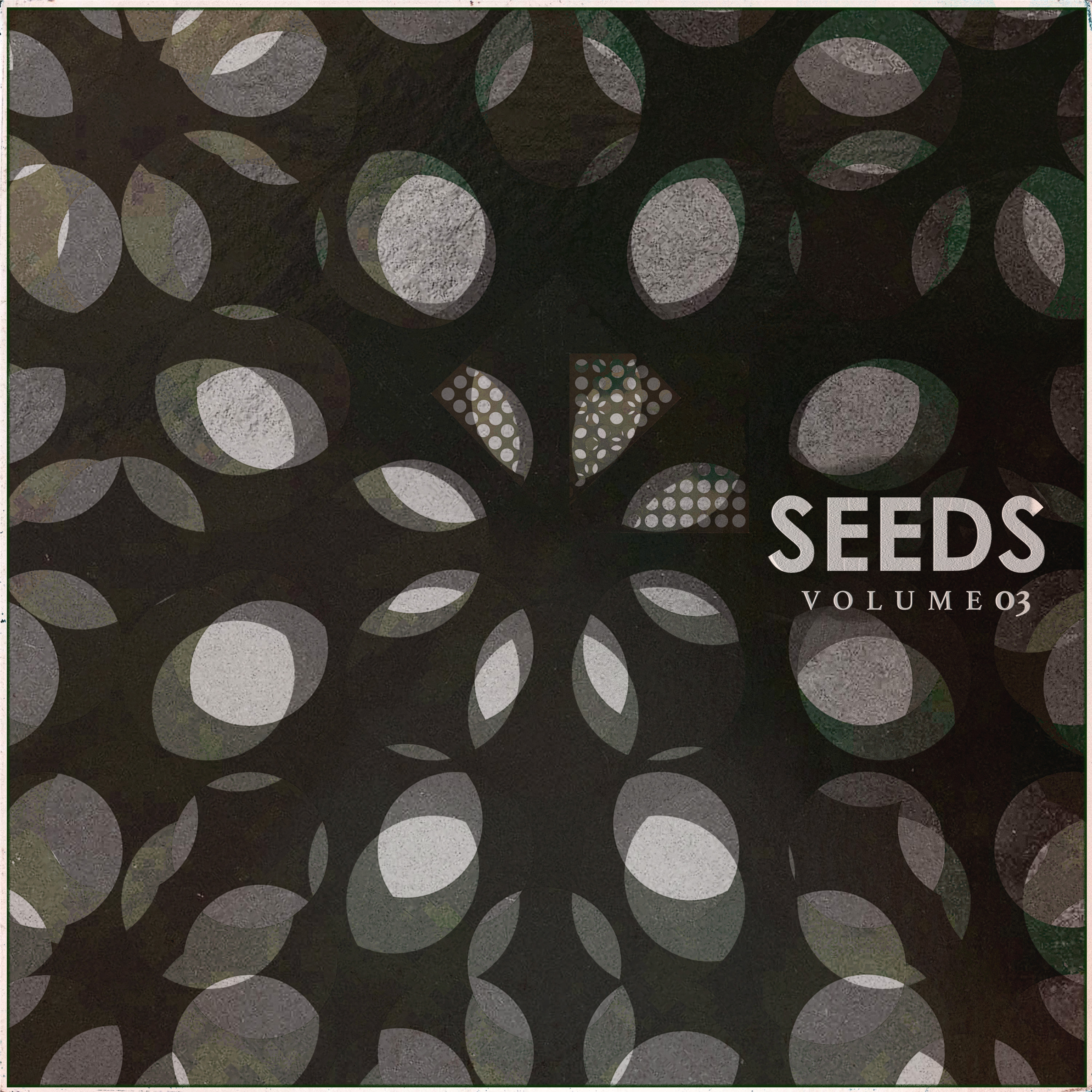 seed #27