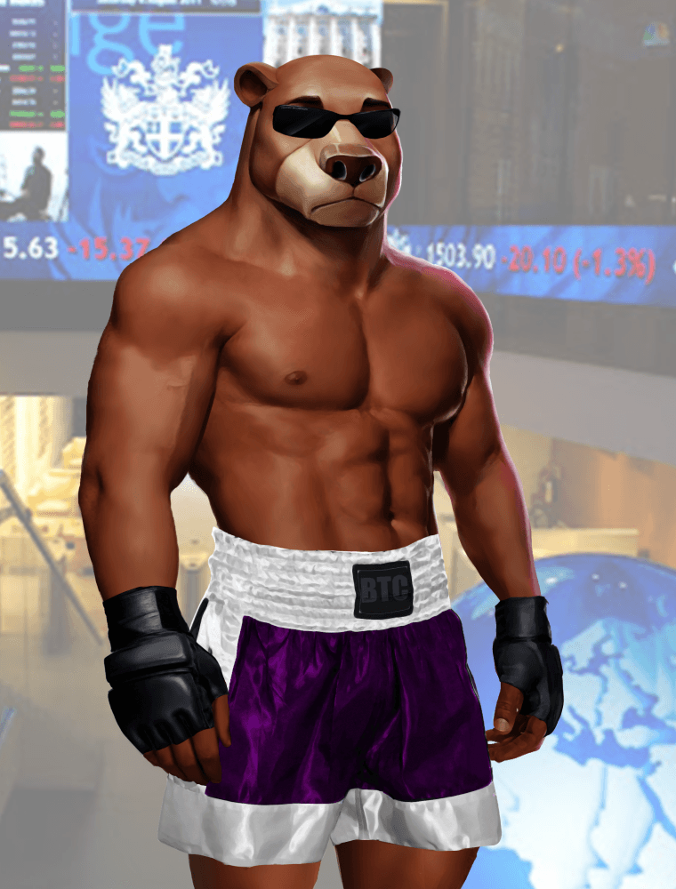 Wall Street Avatar Fighter Bear #282