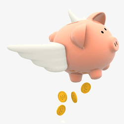 Flying Pig collection image