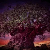 Tree Of Life by markzuniverse collection image