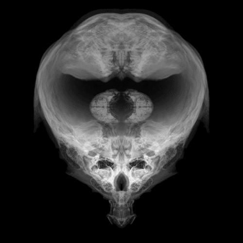 Alien Embryo - 360 of 2000