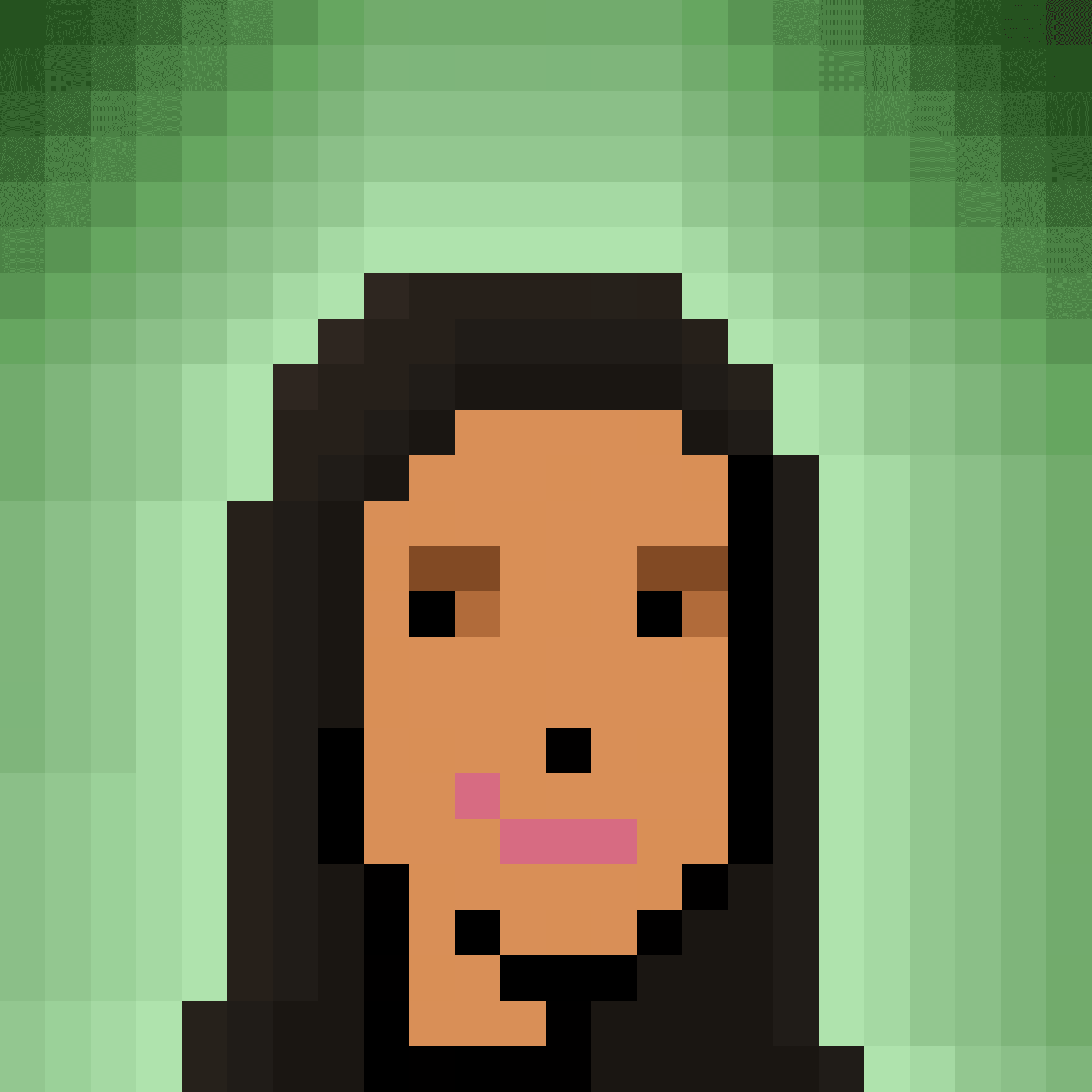 The Pixel Portraits - Collection