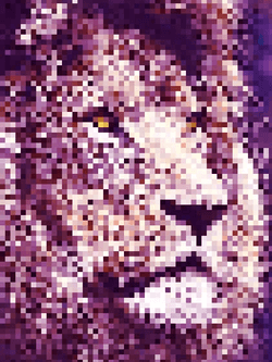 Million Pixel Lions collection image