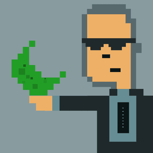 #81CRYPTOPUNK007