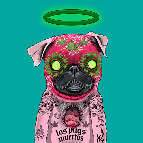 Pug #0134