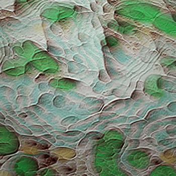Cells2021