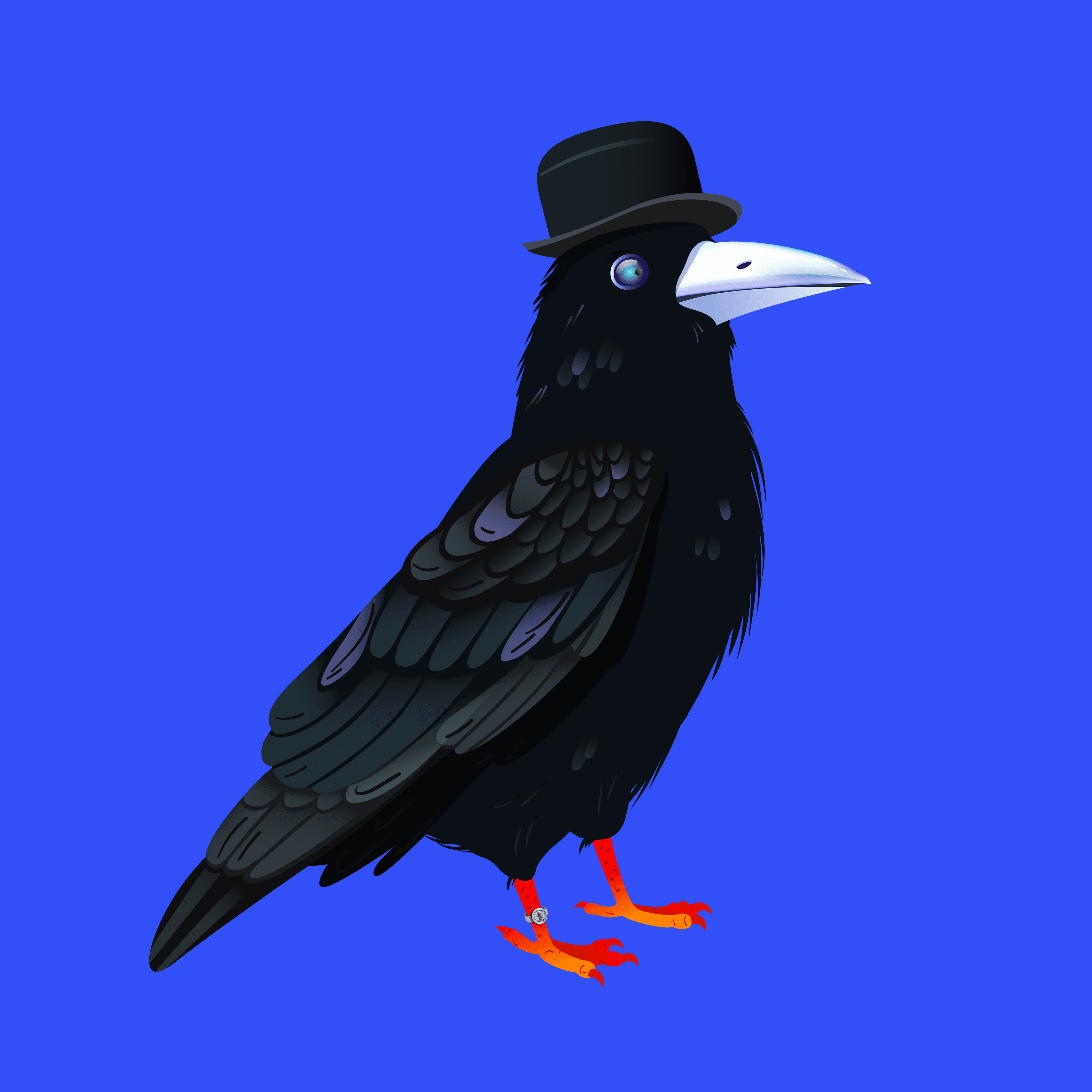 Crazy Crow #3528