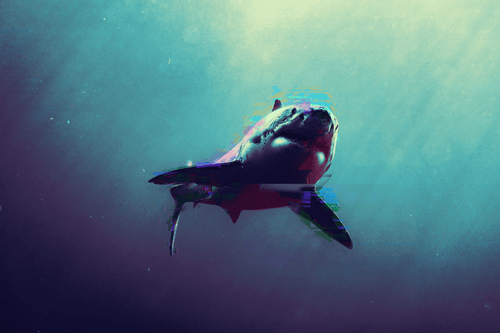 Abstract Shark 010
