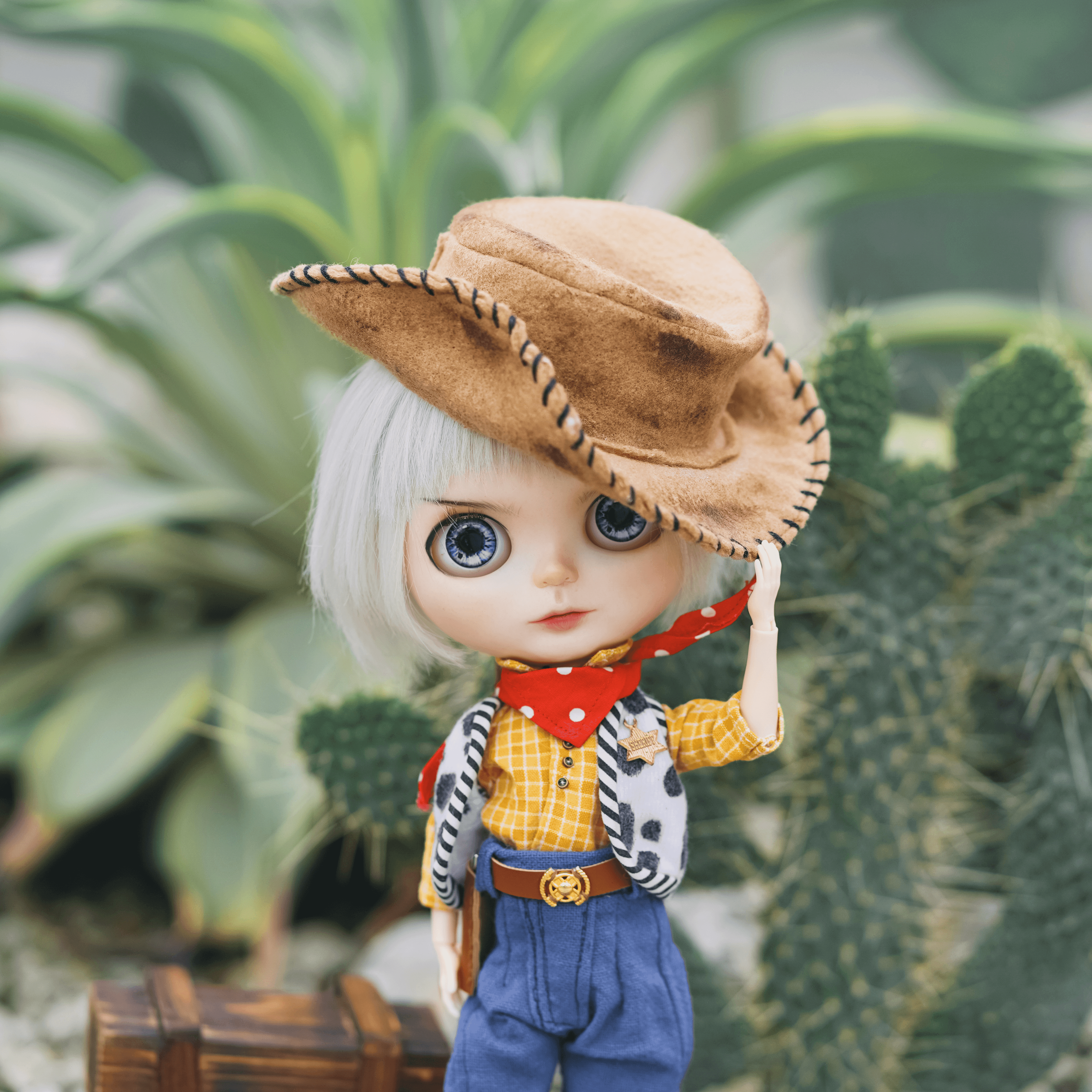 Pull-string cowboy #056 🤠🌵