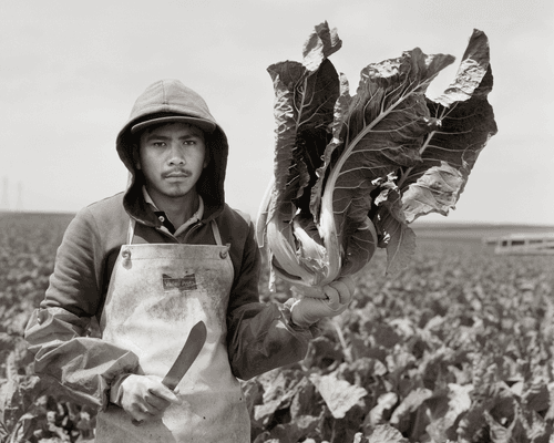 Praise for Those in the Field
