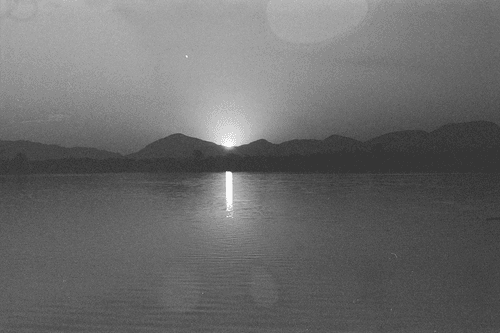 35mm Noise and Figures