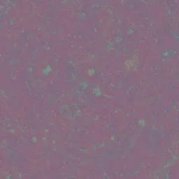 beautiful supernova