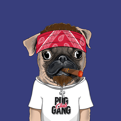 Pug #0147