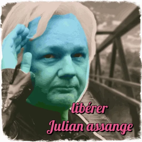 liberer julian assange 