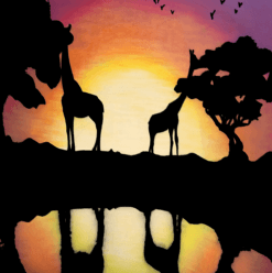 Giraffes near a lake at sunset Graff