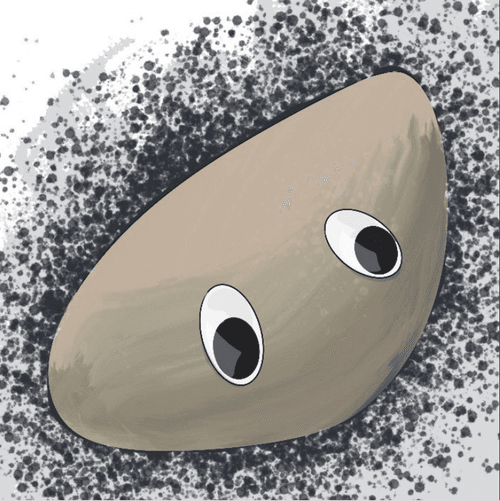 Pet Rock