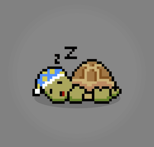 Turtle Moons