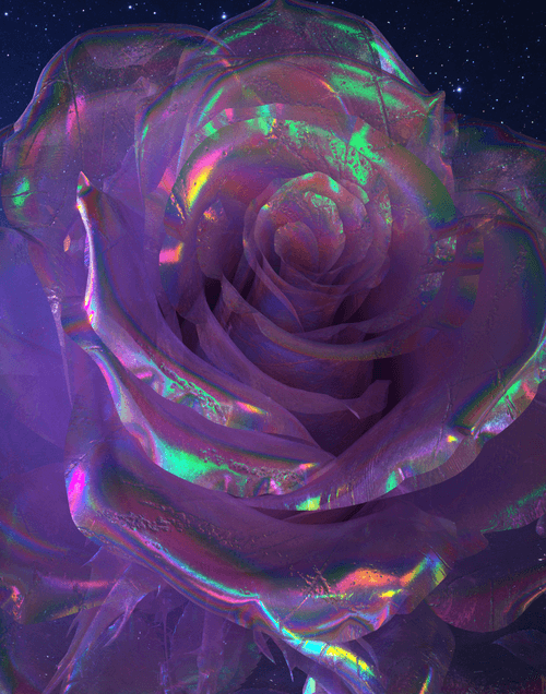 ETERNAL BLOOM COLLECTION
