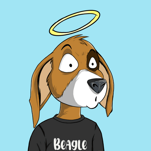 Beagle #0061