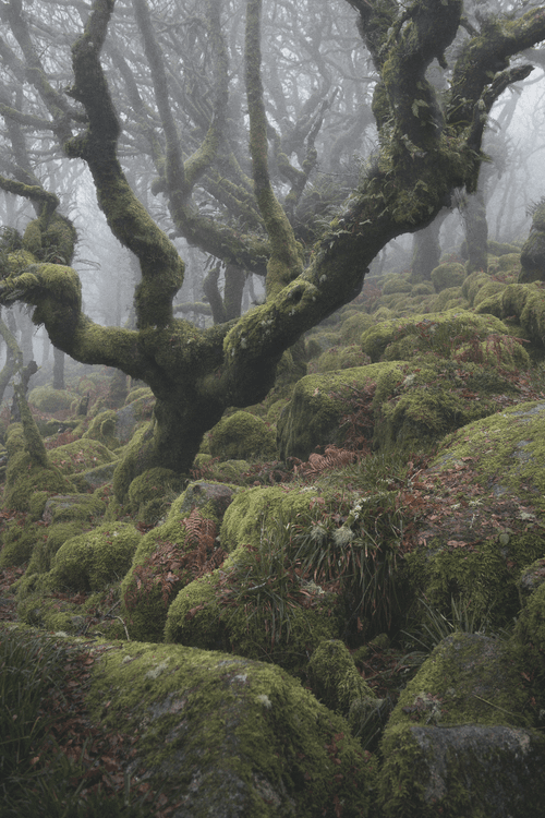 MYSTICAL XXXII (UPRISING)