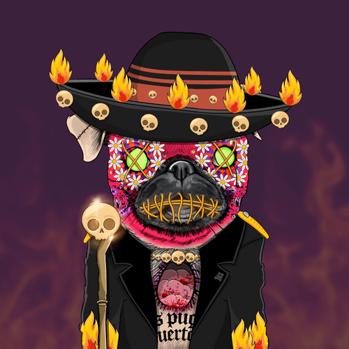Pug #0138