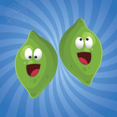 The Limes