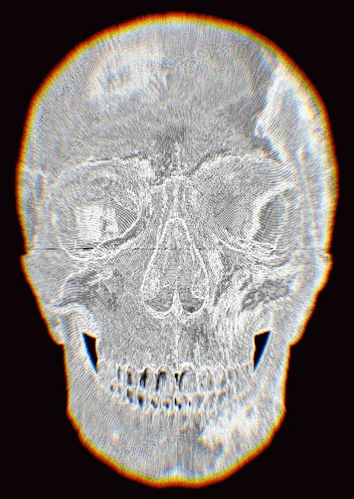 Memento Mori #223