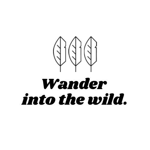 wander into the wild