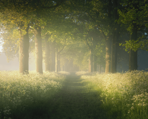 #6 Pathway