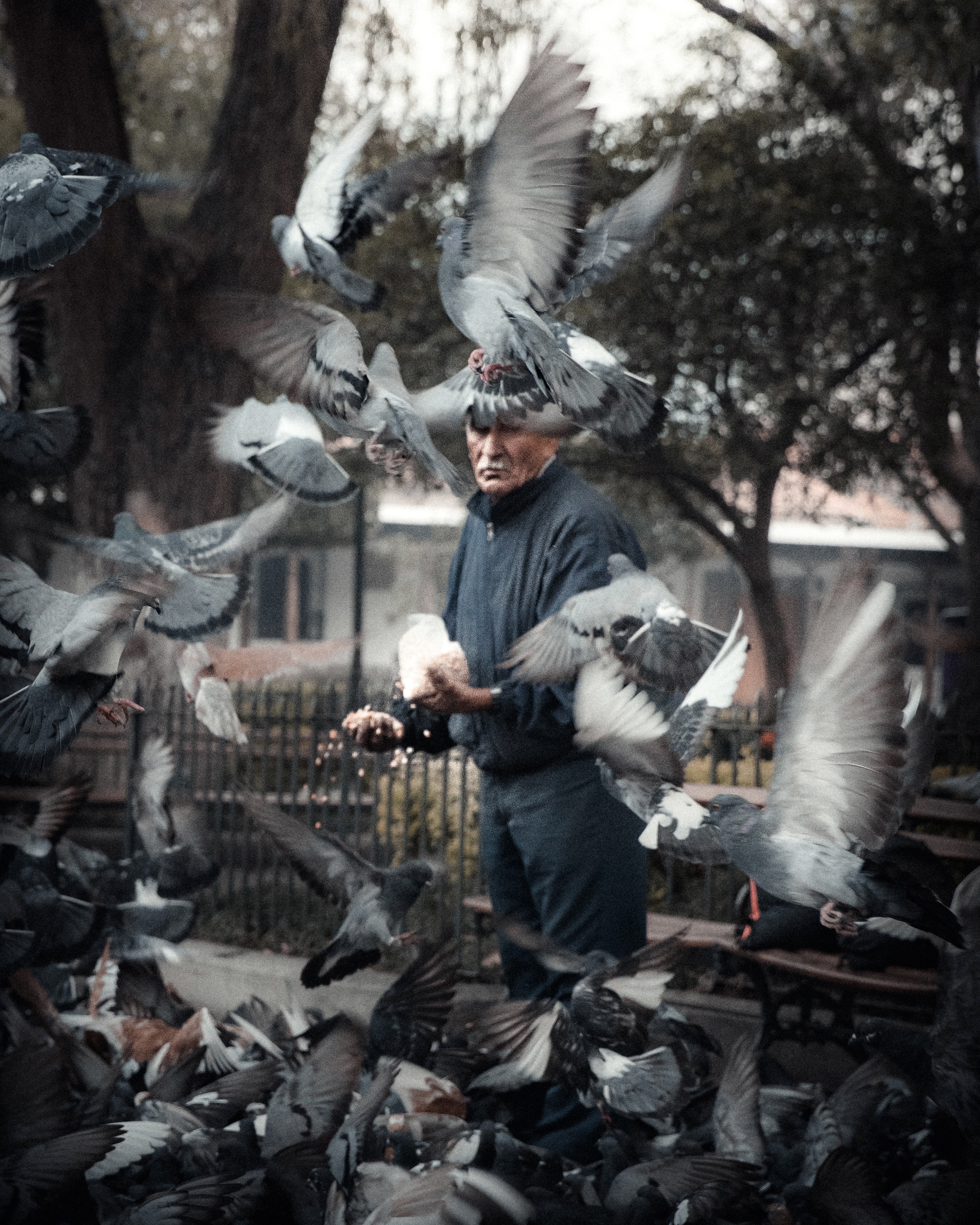 The Birdman - Moments: Around The World #10