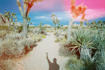 Between Joshua Tree And Mojave National Preserve by Mark Wieder