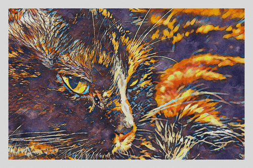 Watercolor - Cat Eyes