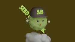SEED BROTHERS MUSIC collection image