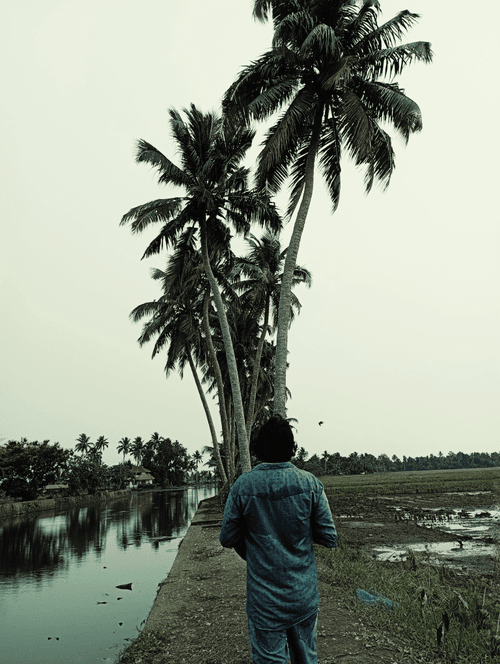 Walk through my village